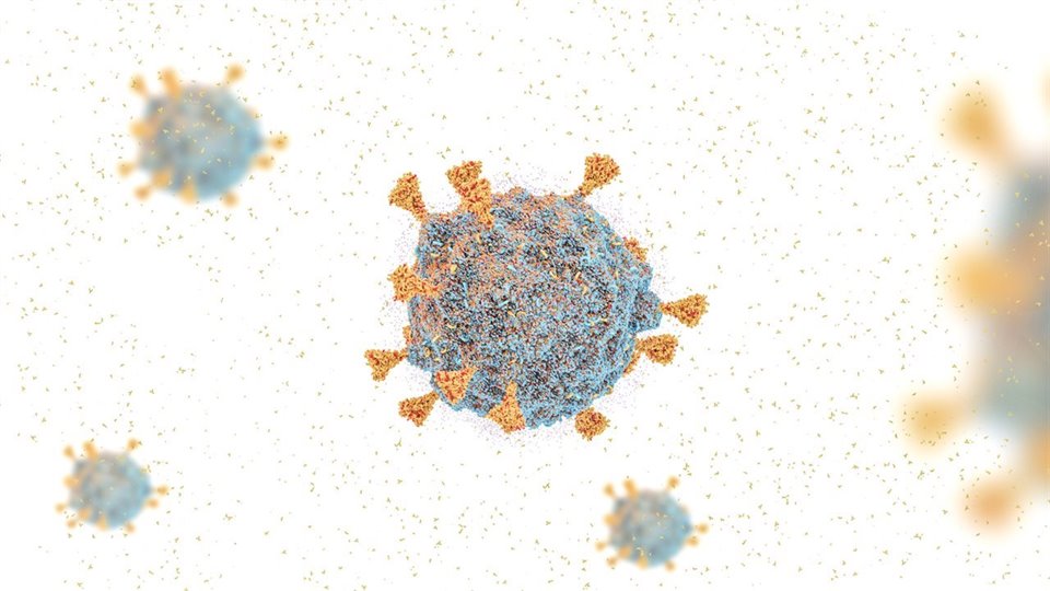 Temen una nueva ola de Coronavirus por las subvariantes BA.4 y BA.5 de Ómicron.