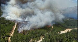 Se desató un incendio forestal camino a Puerto Patriada Se desató un incendio forestal camino a Puerto Patriada