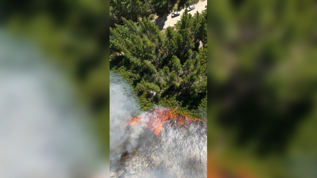 Puerto Patriada: más de 230 personas y 6 medios aéreos trabajan para controlar el incendio
