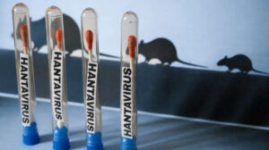 Nación confirma un brote de hantavirus con transmisión entre personas en Chubut