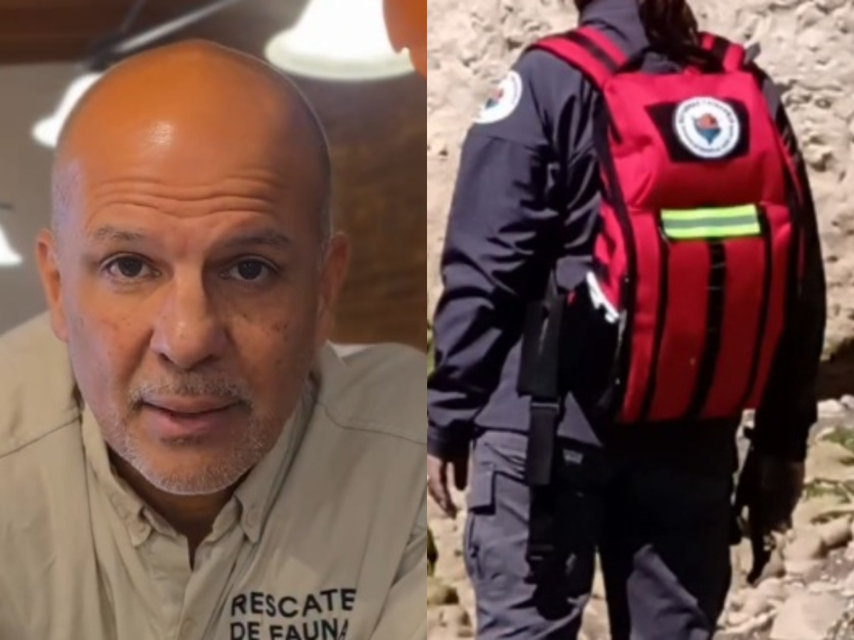 Robaron el equipo de rescate de fauna silvestre de REFAUNAR