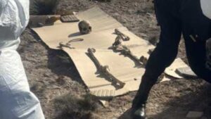 Qué se sabe de los restos óseos humanos encontrados en la Doble Trocha Puerto Madryn-Trelew