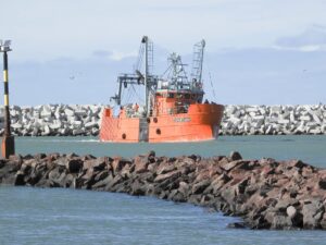 La prospección de langostino iniciará el lunes de cara a la zafra de Rawson